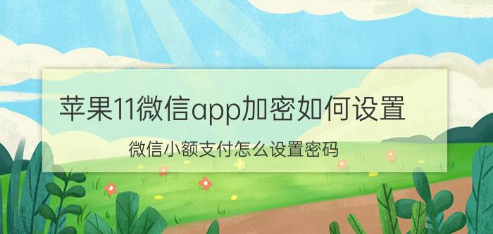 苹果11微信app加密如何设置 微信小额支付怎么设置密码？